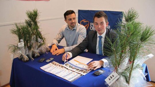 Radny Sosnowski rozdawał... sosny. Przy każdej ulotka wyborcza