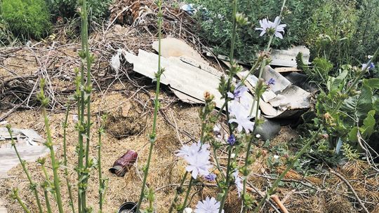 Radny wywiózł śmieci z cmentarza pod las. "Zrobiłem to w dobrej wierze" [zdjęcia]