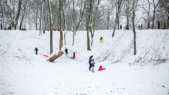 Radość po opadach śniegu. W Białej Podlaskiej górki zapełniły się saneczkarzami