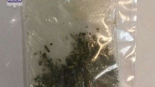 Radzyń Podlaski: 25-latek ukrył narkotyki w slipkach