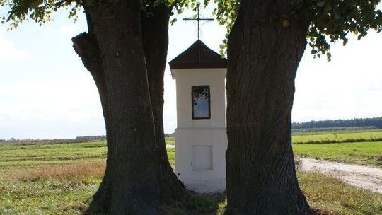 Radzyń Podlaski: Będzie szlak konnych wycieczek
