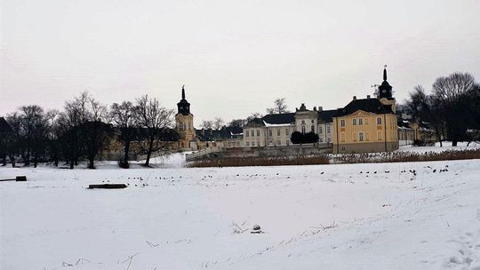 Radzyń Podlaski: Stawy przy pałacu Potockich bez trzciny