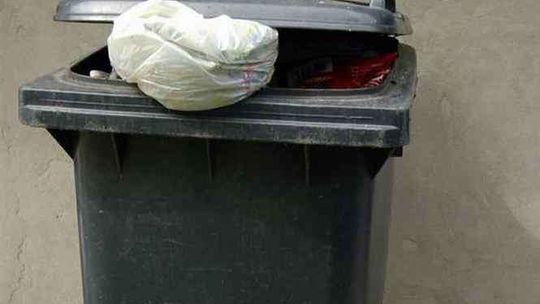 Radzyń Podlaski wprowadza ograniczenia w śmieciach