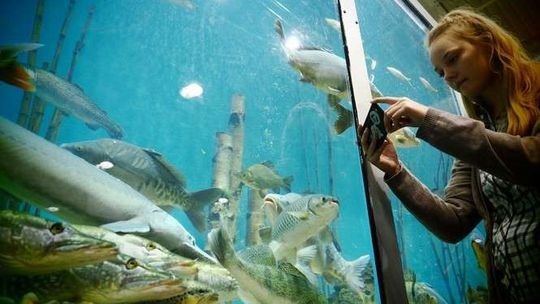 Raj dla wędkarzy. Targi Rybomania w Lublinie (zdjęcia)