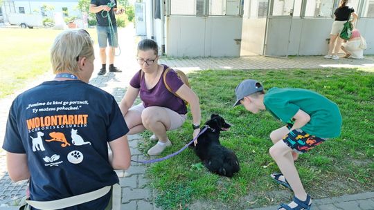 Randka z psem? Lubelskie schroniska dołączają do popularnej aplikacji