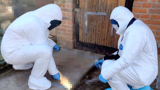 Ranił żonę i zostawił ją na mrozie. Grozi mu dożywocie