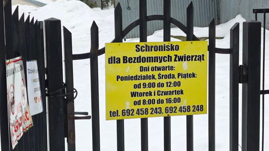 Schronisko dla zwierząt w Chełmie