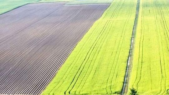 Raport o woj. lubelskim: Rozwijamy się szybko, ale jesteśmy biedni