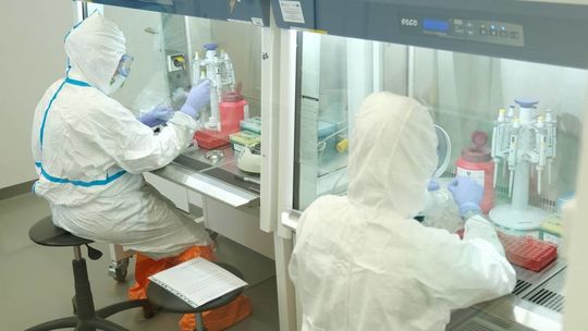 Raport o zachorowaniach w Polsce (23 maja godz. 17.30). Zmarły trzy osoby