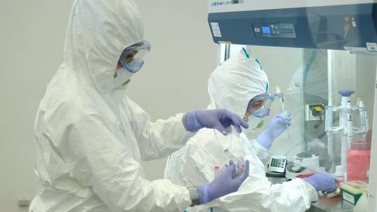 Raport o zachorowaniach w Polsce. Zmarło 14 osób zakażonych koronawirusem