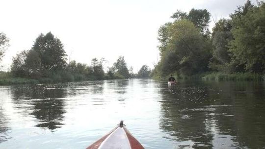 Raport: Ukraina zanieczyszcza nam Bug. Polska nie reaguje