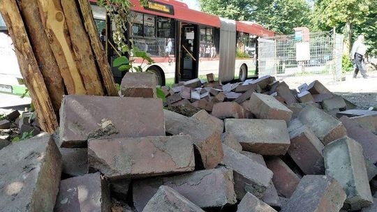 Ratusz będzie karać drogowców za niewłaściwe obchodzenie się z drzewami?