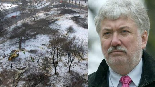 Ratusz wystąpi do prokuratury ws. wycinki drzew na Walecznych
