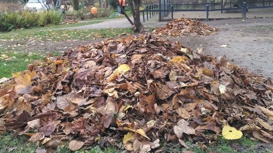 Raz to za mało. Mieszkanka prosi o częstszy odbiór odpadów. Wskazuje jeden miesiąc