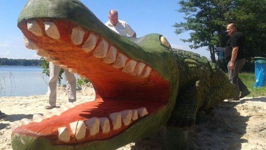 Reggae Night, Święto Krokodyla, Święto Róż i inne imprezy