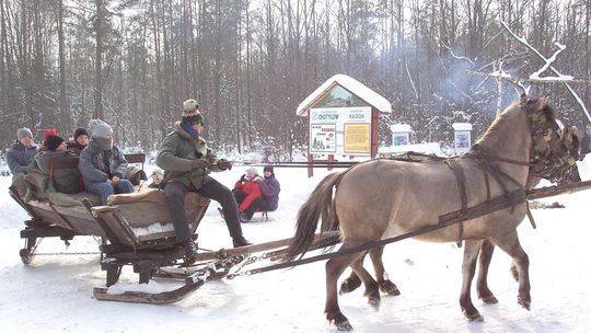 Rękawice z rusztu, konie z Ostrogi