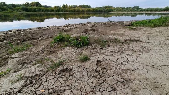 Rekordowo niski poziom Wisły w Annopolu. Rzeka spadła poniżej historycznego minimum