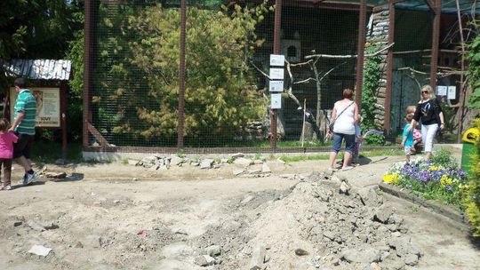 Remontowany ogród zoologiczny w Zamościu wygląda fatalnie (zdjęcia) 