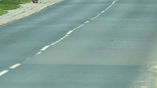 Remontują drogi w powiecie łęczyńskim