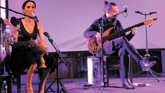 Renata Przemyk wystąpi na 20-lecie powiatu puławskiego