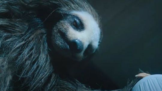 Repertuar kin i teatrów w Lublinie i regionie [27-29.10] 