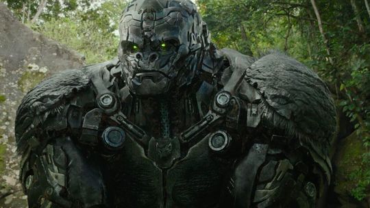 Repertuar kin i teatrów w Lublinie i regionie [9-11.06]