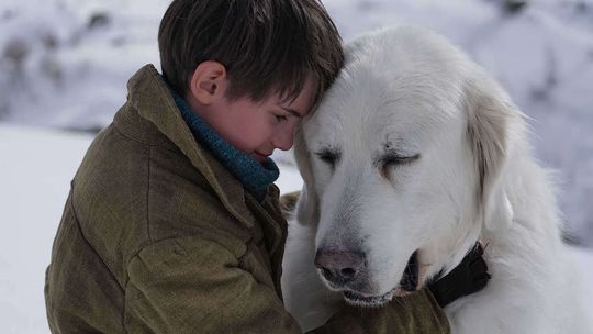 Repertuar kin i teatrów w weekend w Lublinie i regionie [01-03.06]