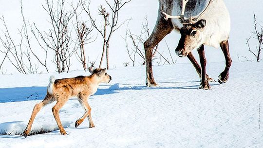 Repertuar kin i teatrów w weekend w Lublinie i regionie [06-08.12] 