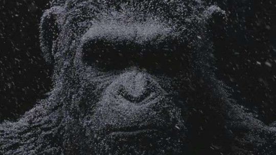  Repertuar kin i teatrów w weekend w Lublinie i regionie (28-30.07) 