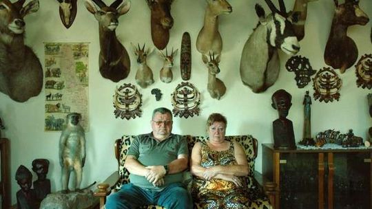 Replika Letniej Akademii Filmowej w Chatce Żaka (program)