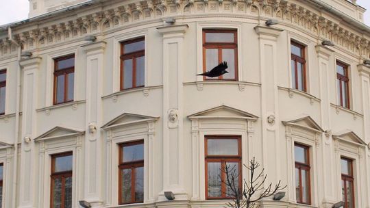 Restauracja Europa w Lublinie (recenzja)