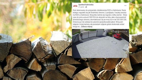Rewelacyjna akcja na Facebooku. Działkowiec ukradł drewno i przyszedł skruszony