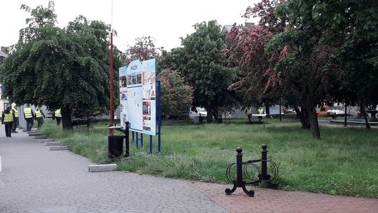 Rewitalizacja czyli wycinka totalna. 58 drzew pod topór  [zdjęcia]