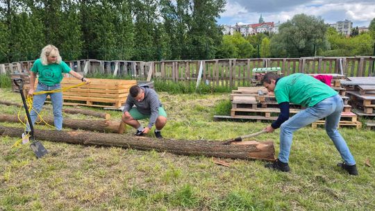 Rezerwat Dzikich Dzieci - przyjdź, miej swój wkład w budowę 