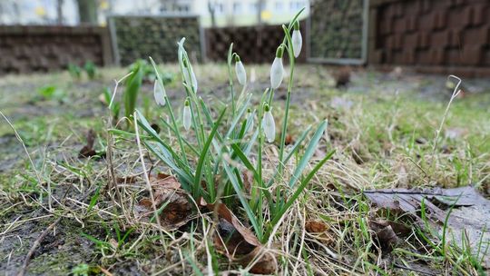 Robią miejsce na wiosnę. Rusza pozimowe sprzątanie Lublina