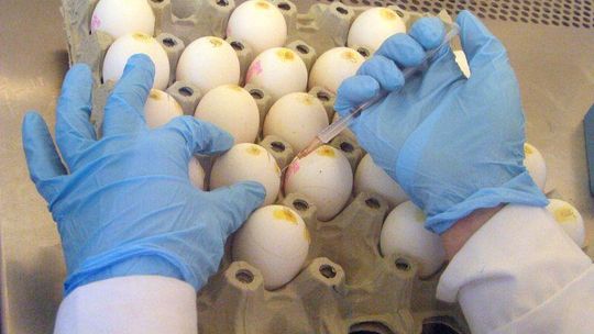 Robią sobie jaja z klientów. Czego lepiej nie kupować na Wielkanoc