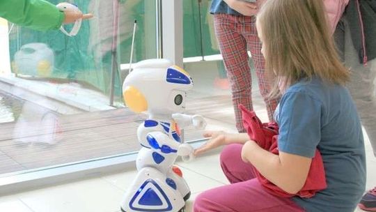 Roboty, filmy i trzy wymiary. Lubelski Festiwal Nauki w Puławach