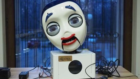 Roboty pomogą chorym na Alzheimera i lekarzom. Są testowane w Lublinie