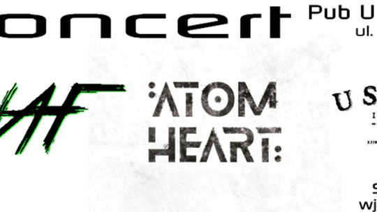 Rockowe granie w Pubie u Szewca