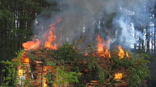Rocznica bitwy pod Osuchami: Niemcy wzięli partyzantów do niewoli (zdjęcia)