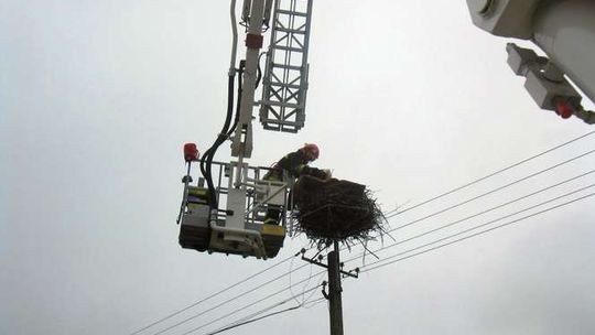 Rodzina zostawiła bociana. Na pomoc ruszyli strażacy