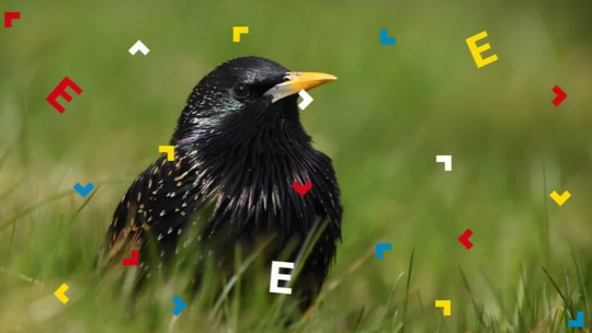 Rodzinny spacer wzdłuż Bystrzycy