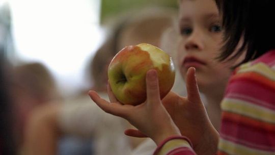 Rodziny wielodzietne będą płacić mniej za przedszkole