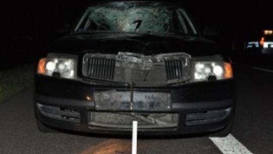 Rogoźnica: Pieszy zginął pod kołami auta