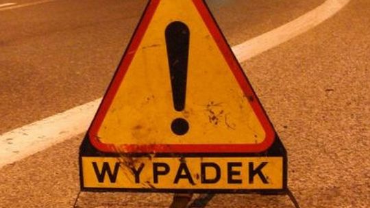 Rogoźnica. Renault wjechało w drzewo