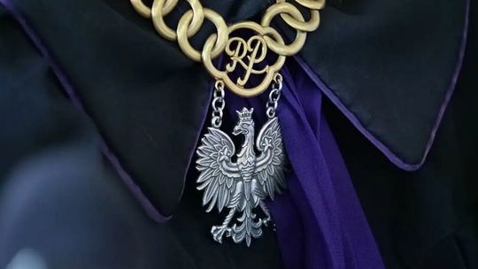 Rok więzienia za katowanie i zabicie kota. Wyrok prawomocny