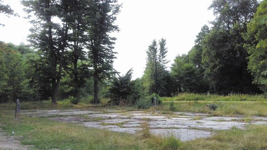 Rolkarze się doczekali. W Biłgoraju powstanie park. Radni podjęli decyzję
