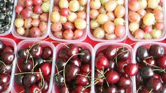 Rolnicy mogą legalnie sprzedawać produkty wytworzone w gospodarstwach. Skorzystają?