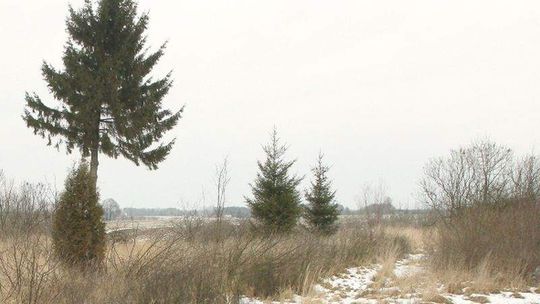 Rolnicy nie chcą budowy elektrowni. "Spadnie nam wartość nieruchomości"