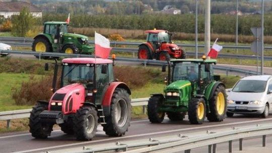 Rolnicy protestowali spowalniając ruch na drodze. Chcą konkretów w sprawie ASF